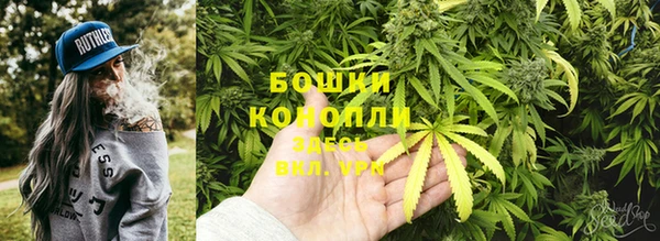 spice Алзамай