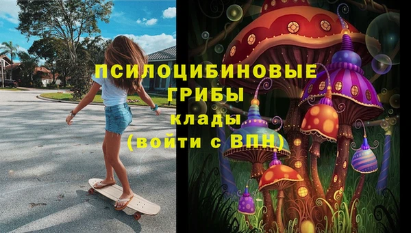 spice Алзамай